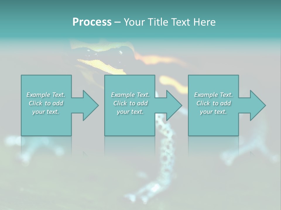 Black Colorful Amphibian PowerPoint Template