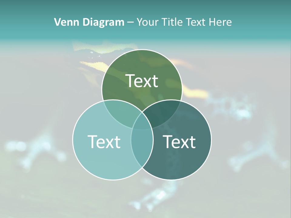 Black Colorful Amphibian PowerPoint Template