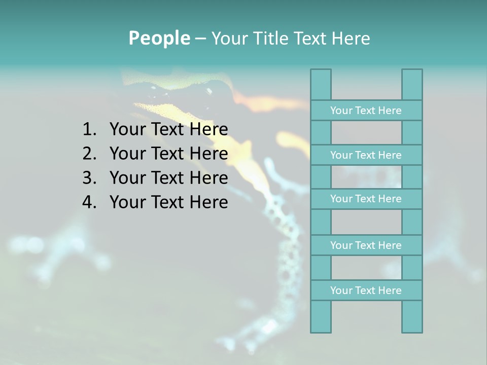 Black Colorful Amphibian PowerPoint Template