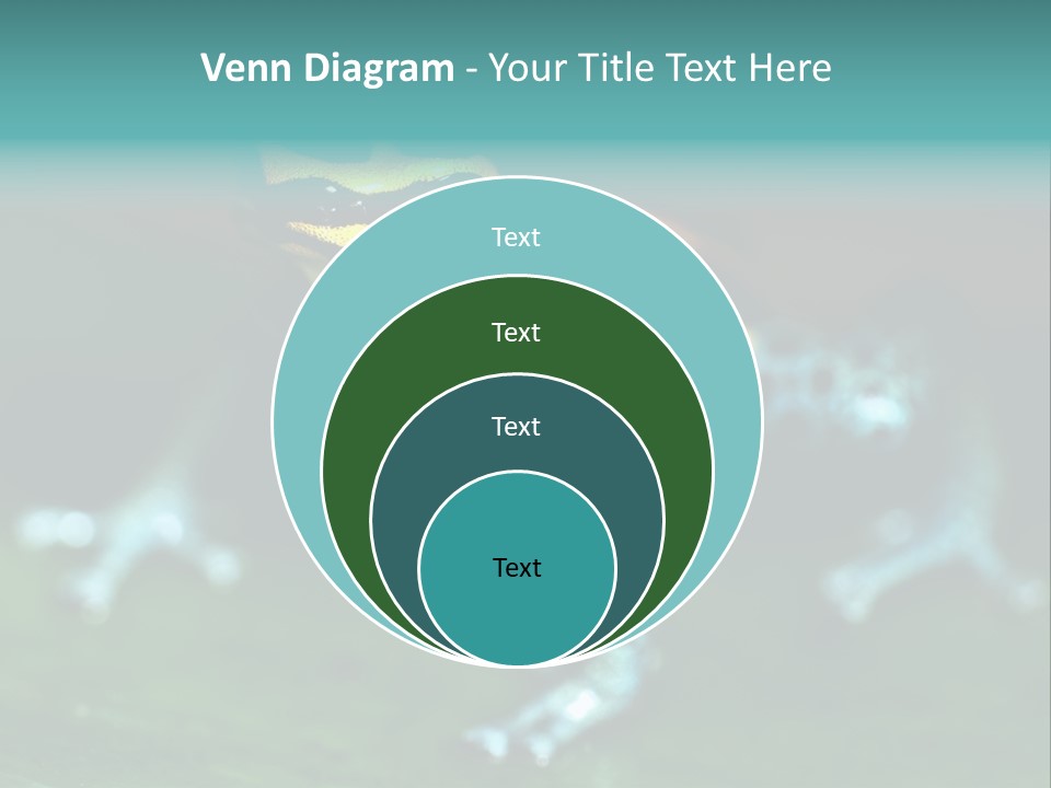 Black Colorful Amphibian PowerPoint Template