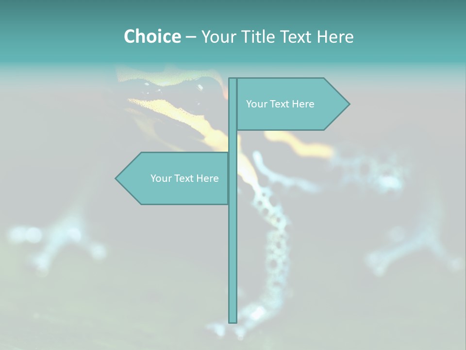 Black Colorful Amphibian PowerPoint Template