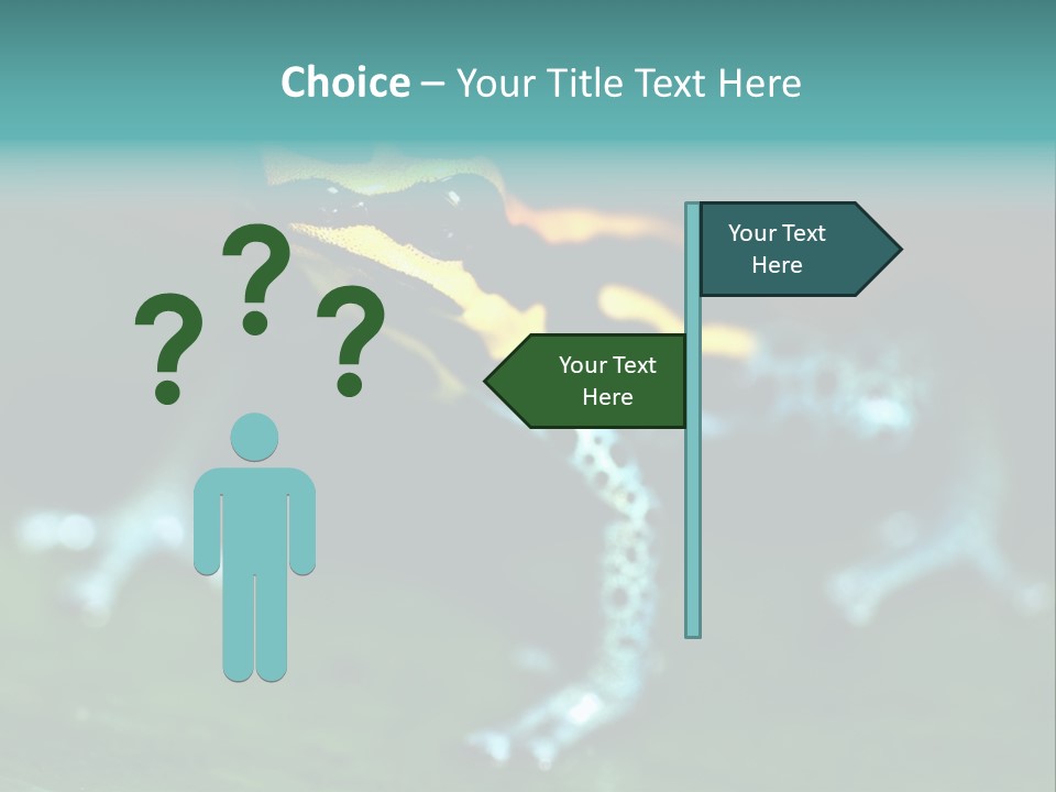 Black Colorful Amphibian PowerPoint Template