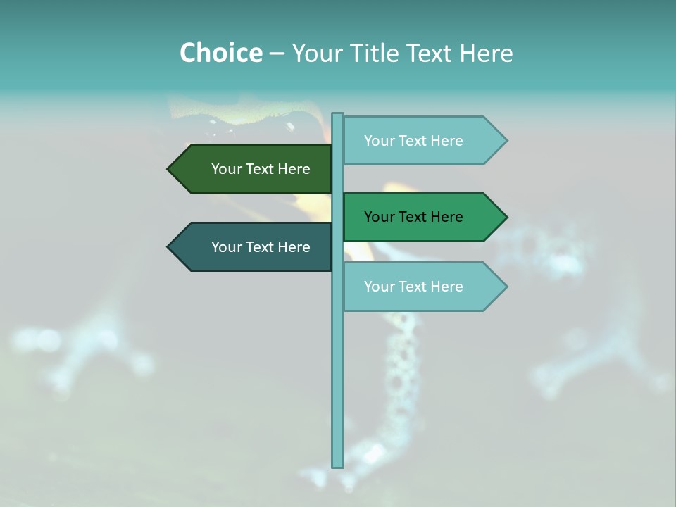 Black Colorful Amphibian PowerPoint Template