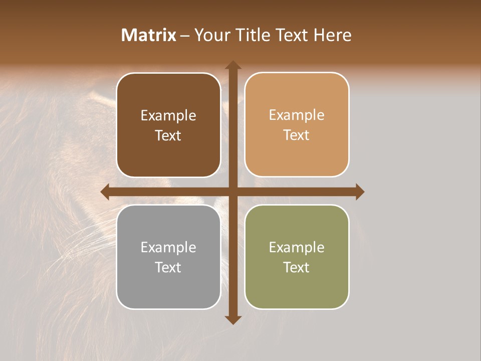 Cat Background King PowerPoint Template