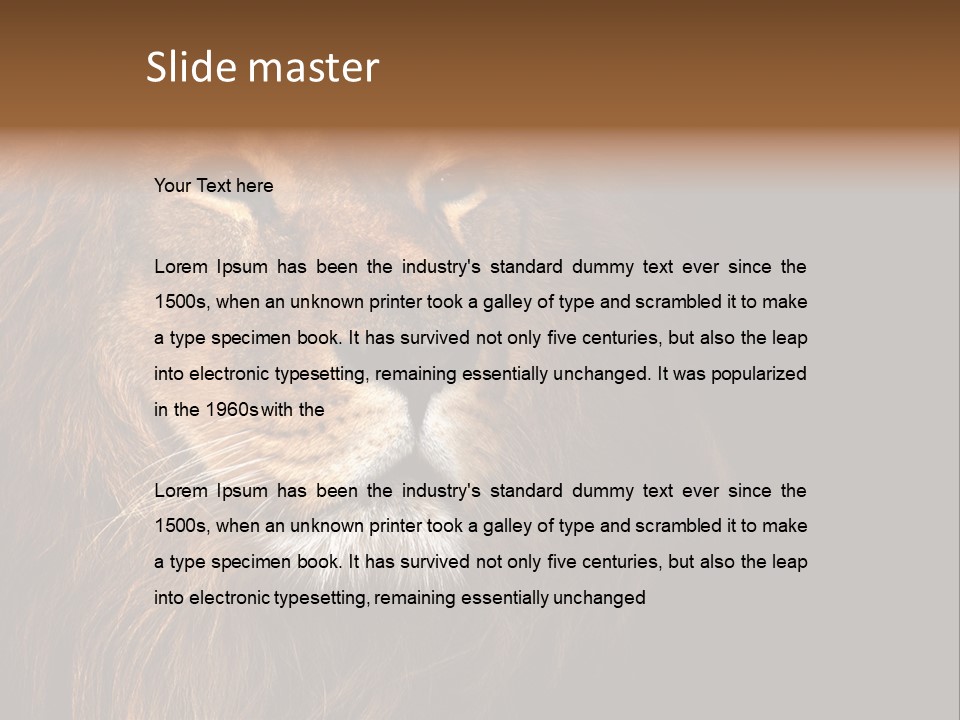 Cat Background King PowerPoint Template