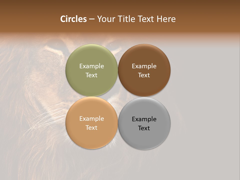 Cat Background King PowerPoint Template