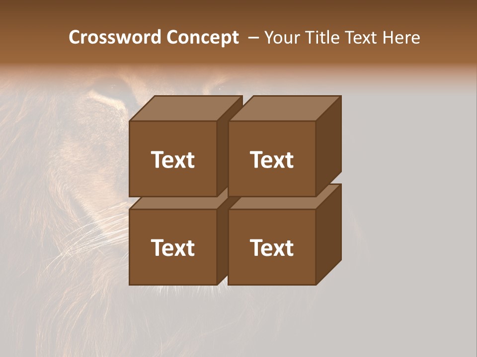 Cat Background King PowerPoint Template