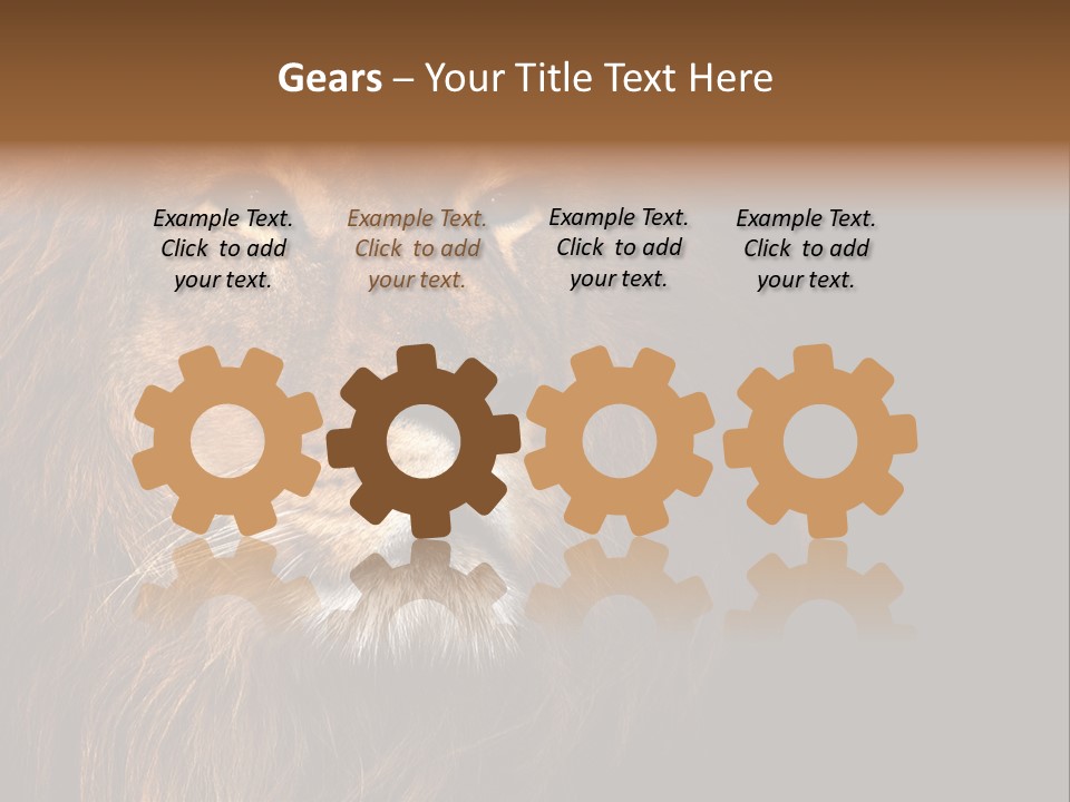 Cat Background King PowerPoint Template