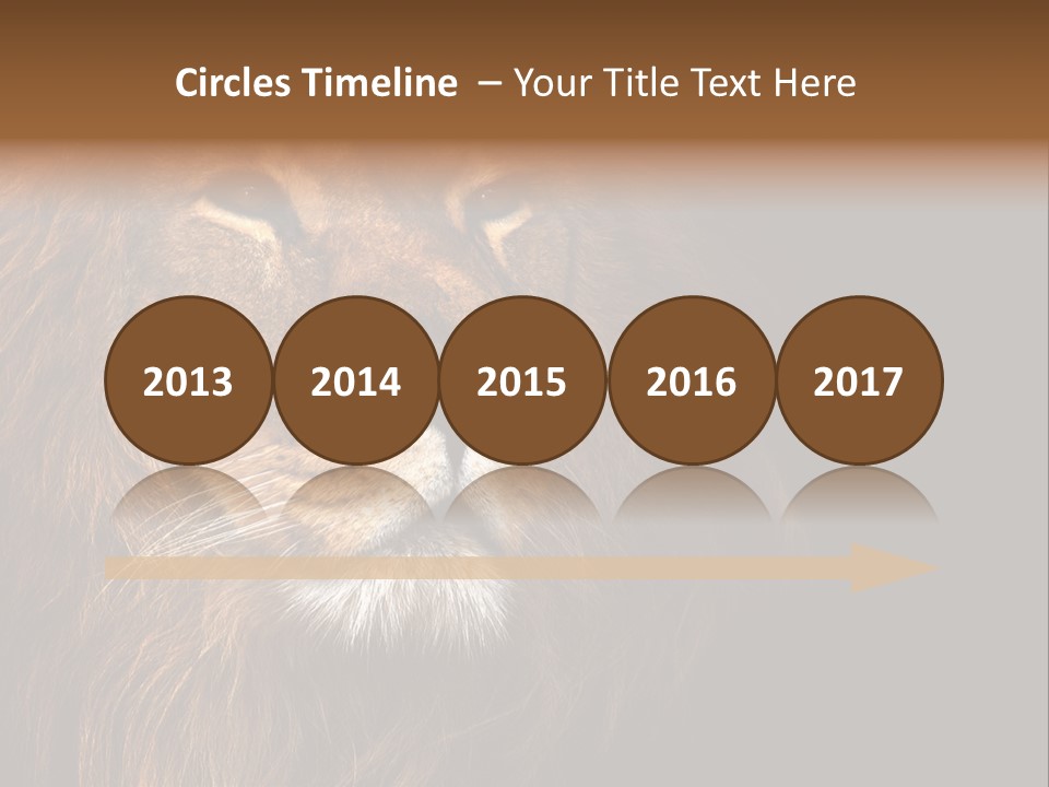 Cat Background King PowerPoint Template