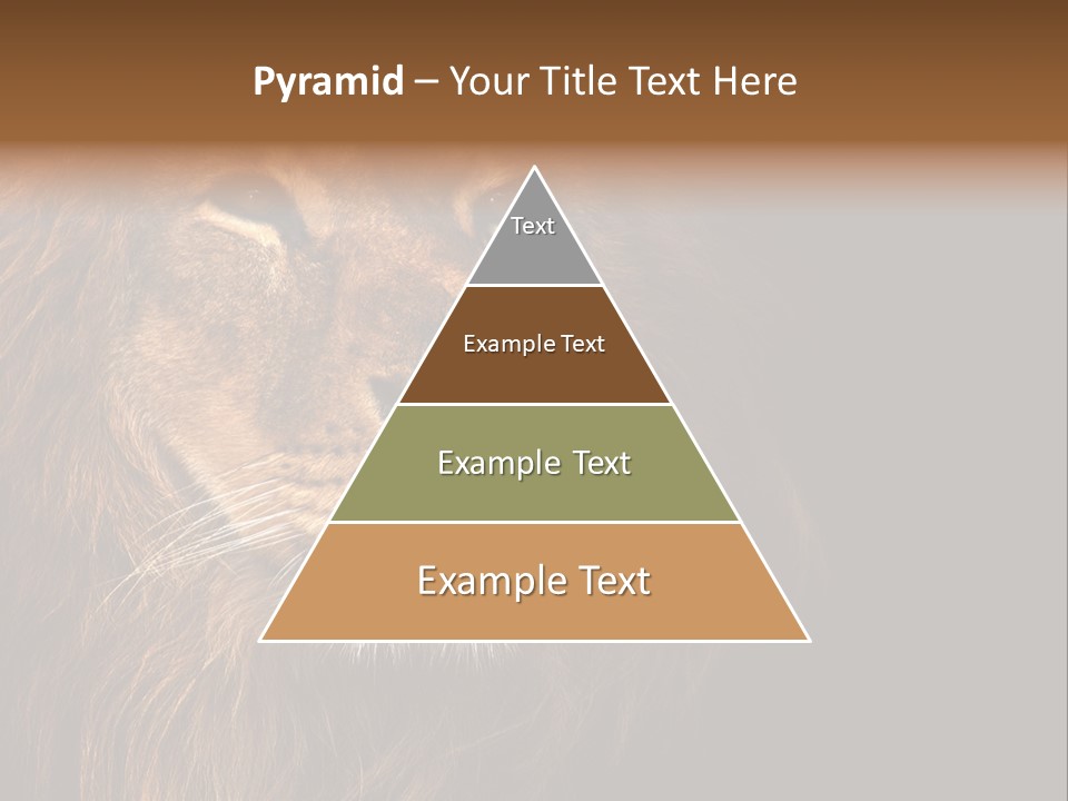 Cat Background King PowerPoint Template