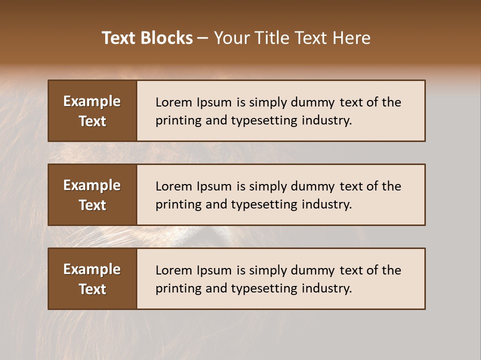 Cat Background King PowerPoint Template
