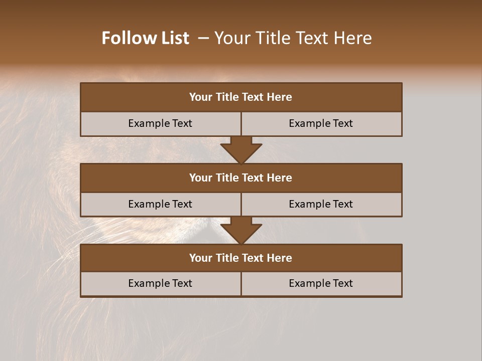 Cat Background King PowerPoint Template