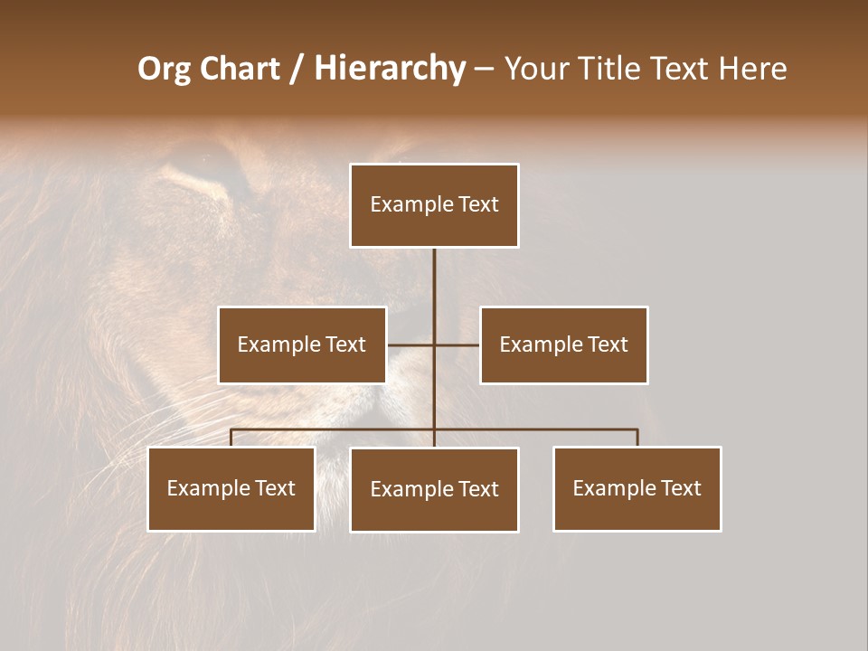 Cat Background King PowerPoint Template