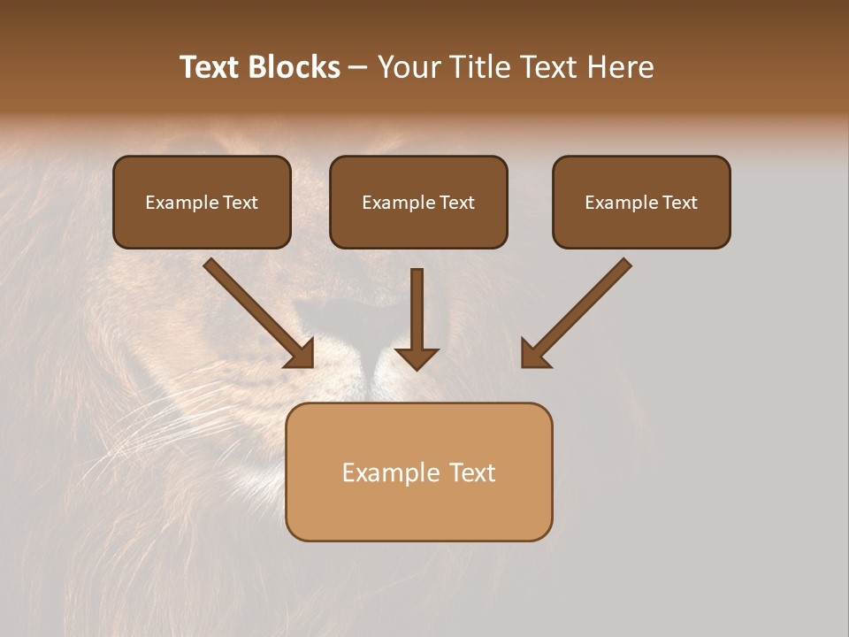 Cat Background King PowerPoint Template