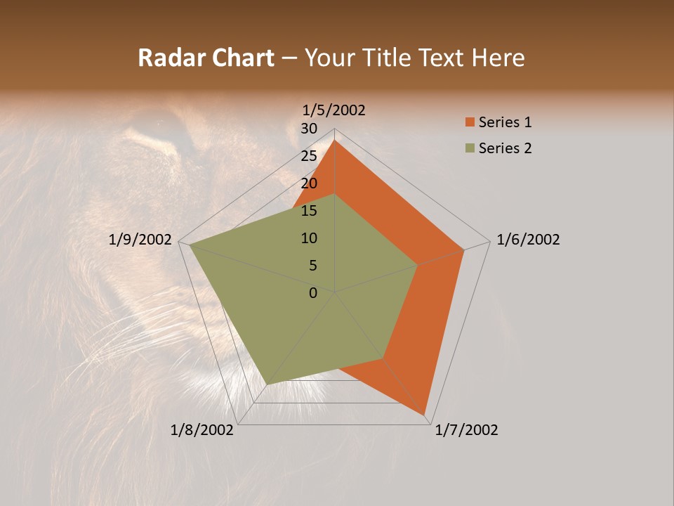 Cat Background King PowerPoint Template