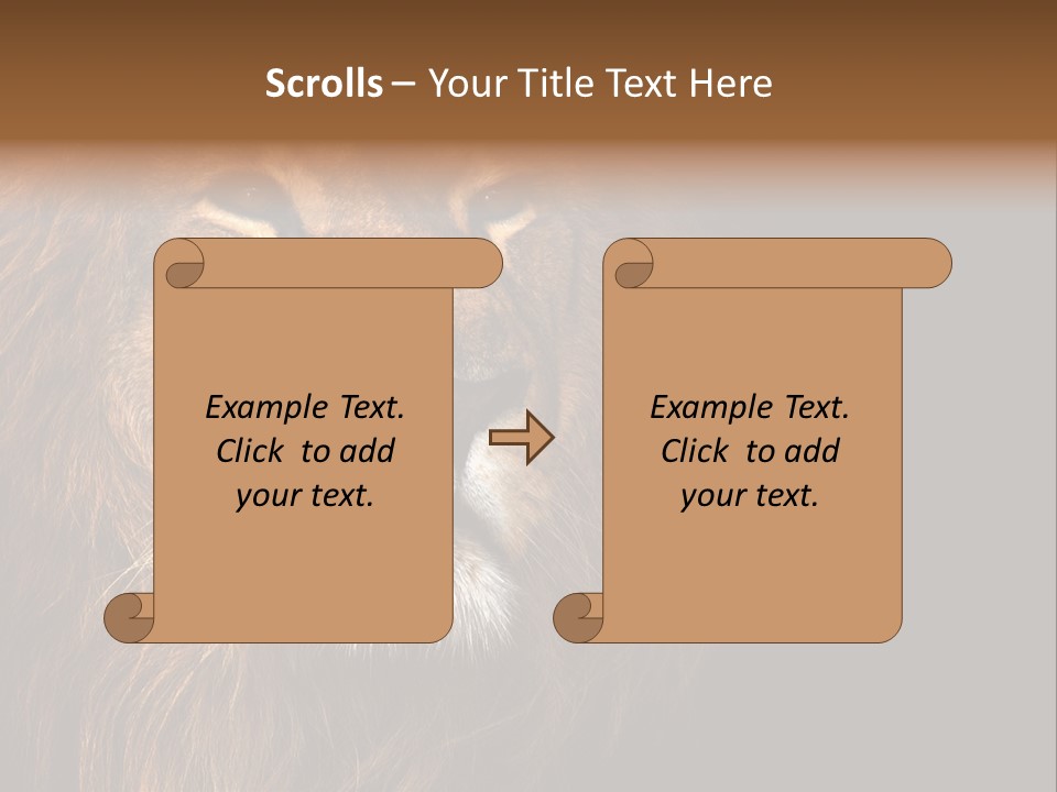 Cat Background King PowerPoint Template