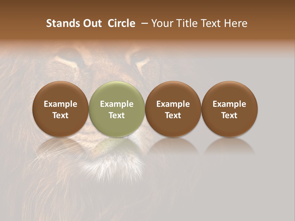 Cat Background King PowerPoint Template