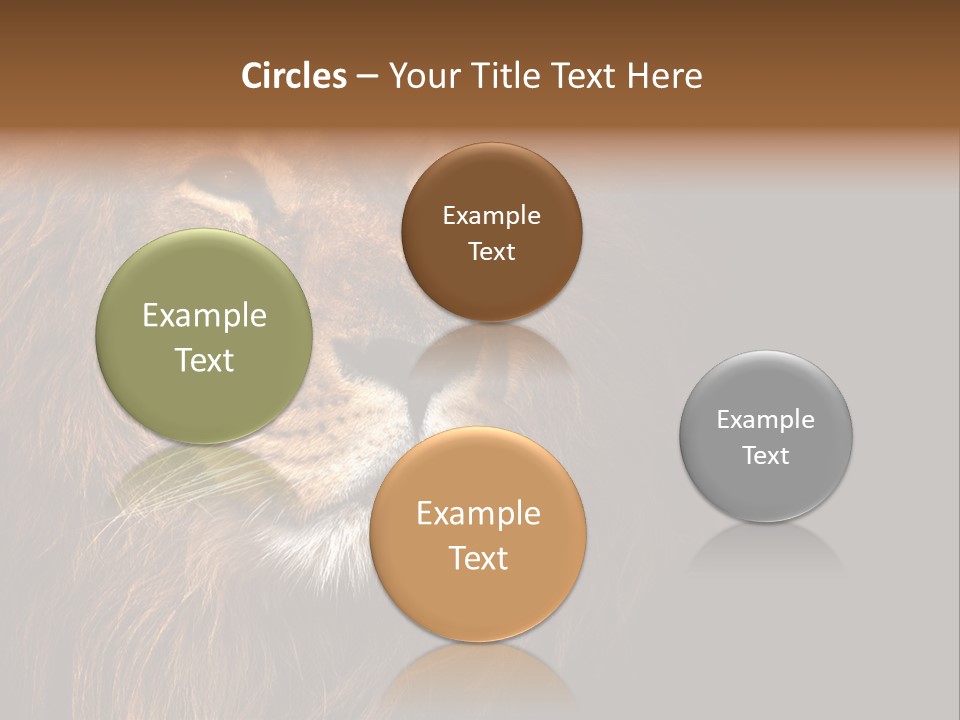 Cat Background King PowerPoint Template