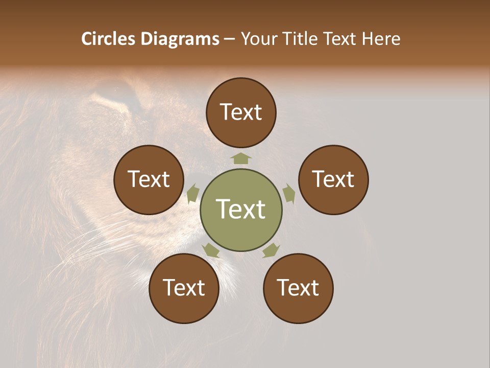 Cat Background King PowerPoint Template