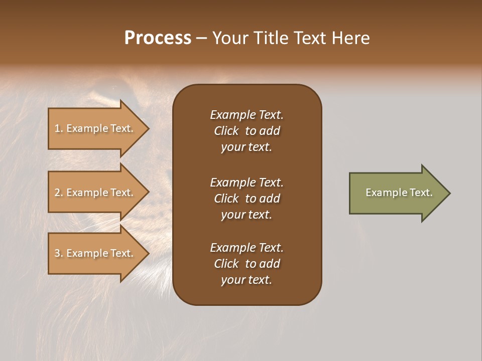 Cat Background King PowerPoint Template