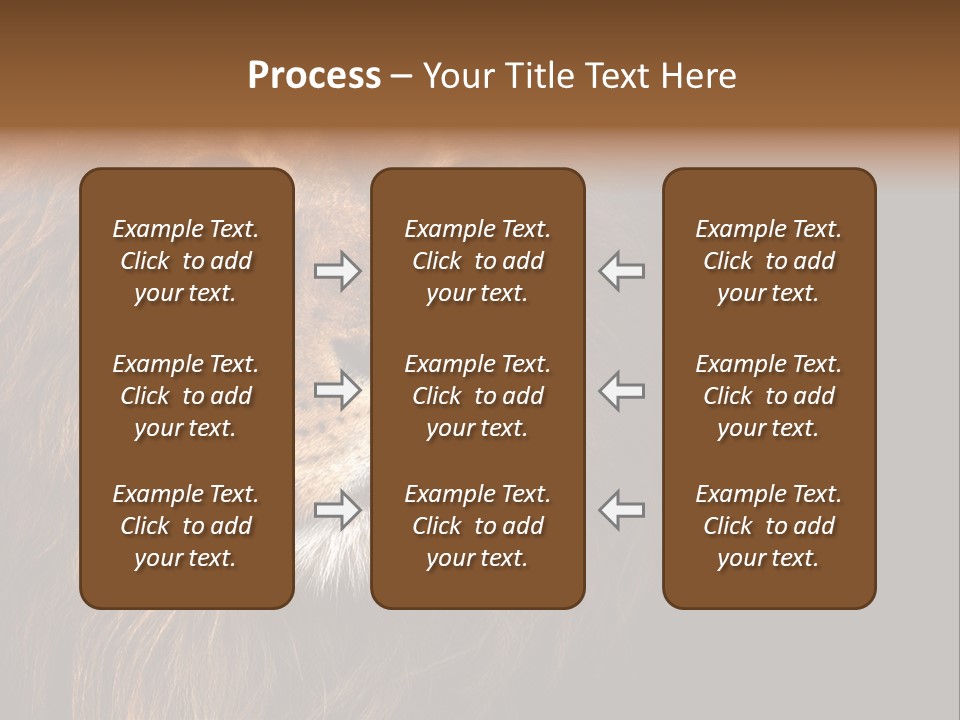 Cat Background King PowerPoint Template