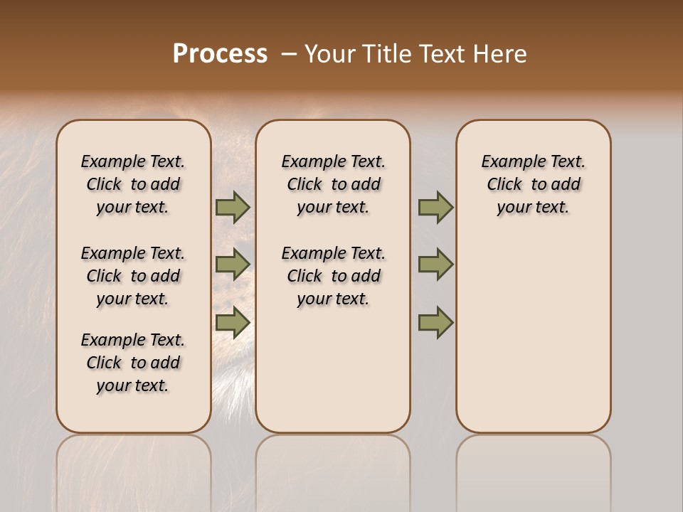 Cat Background King PowerPoint Template