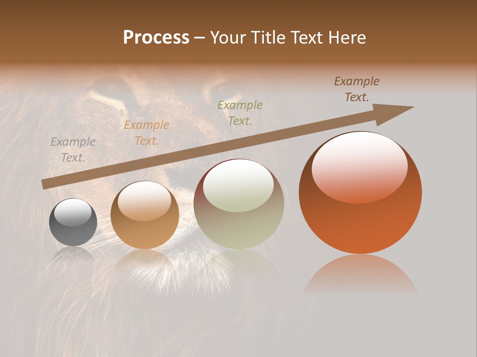 Cat Background King PowerPoint Template