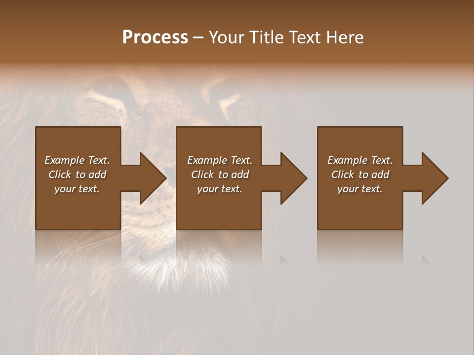 Cat Background King PowerPoint Template