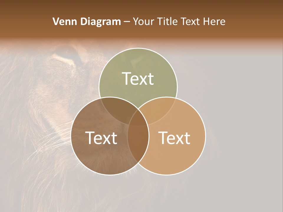 Cat Background King PowerPoint Template