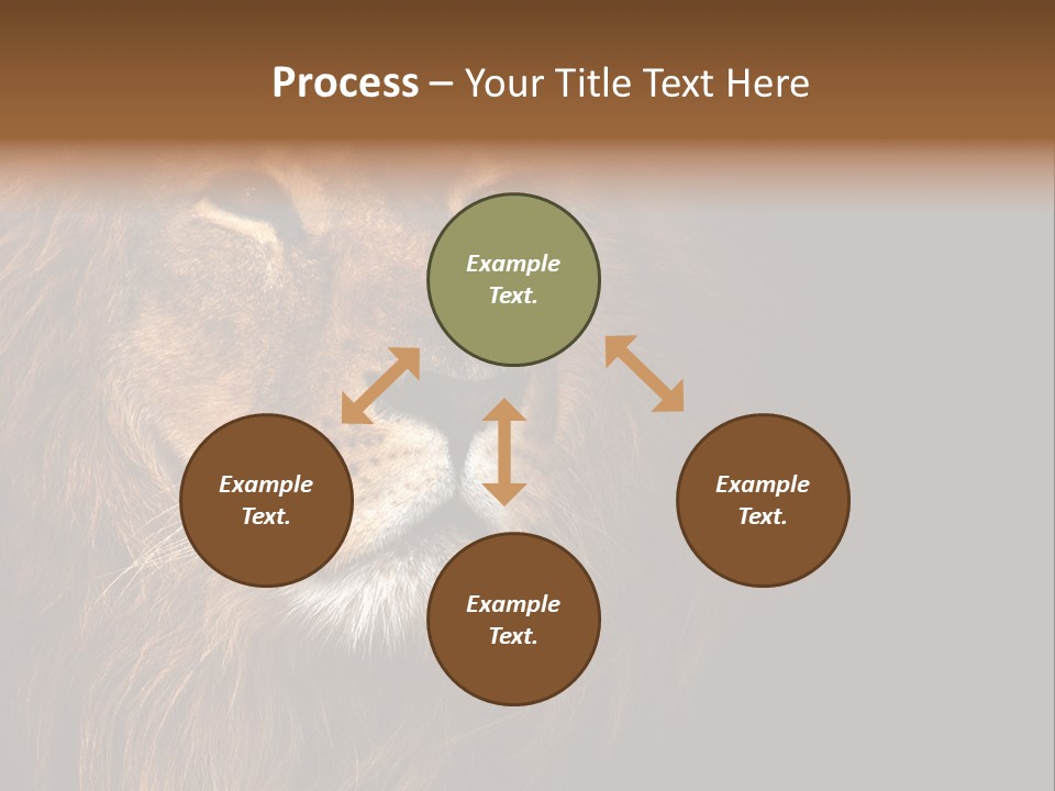 Cat Background King PowerPoint Template