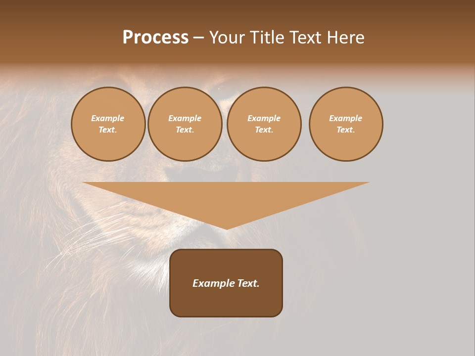 Cat Background King PowerPoint Template