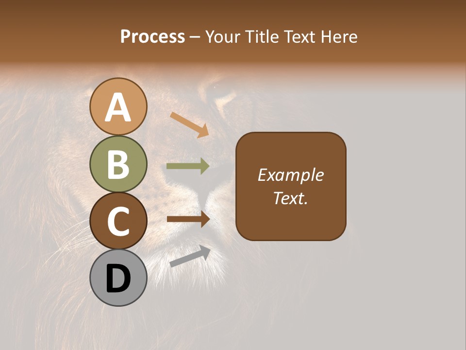 Cat Background King PowerPoint Template