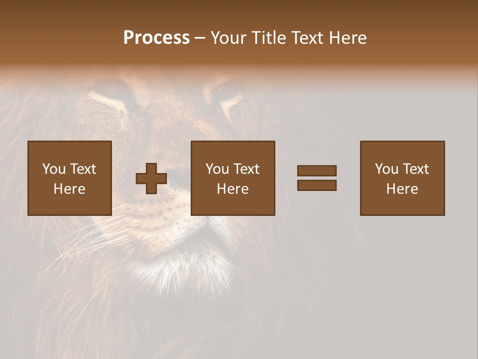 Cat Background King PowerPoint Template