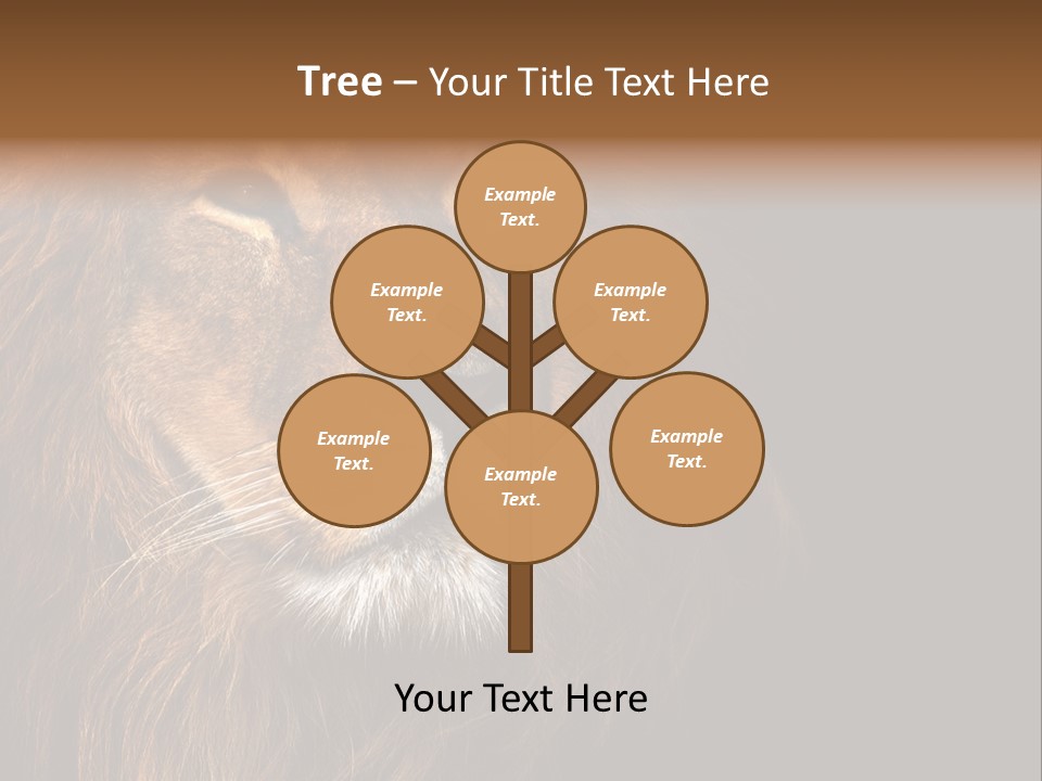 Cat Background King PowerPoint Template