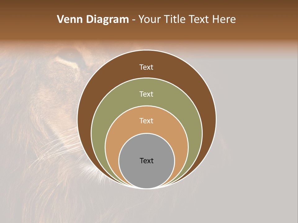 Cat Background King PowerPoint Template