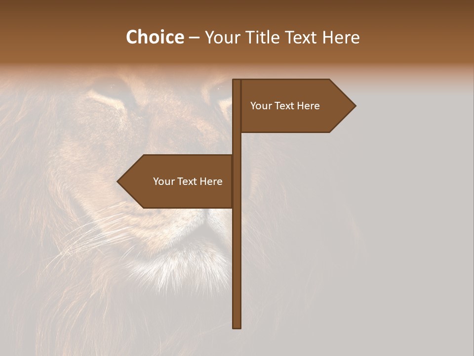 Cat Background King PowerPoint Template