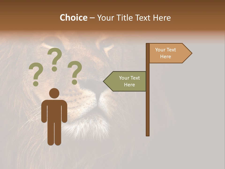 Cat Background King PowerPoint Template