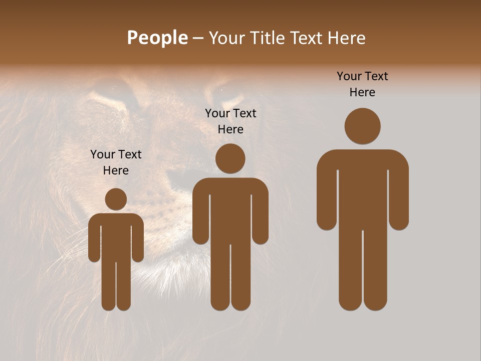 Cat Background King PowerPoint Template