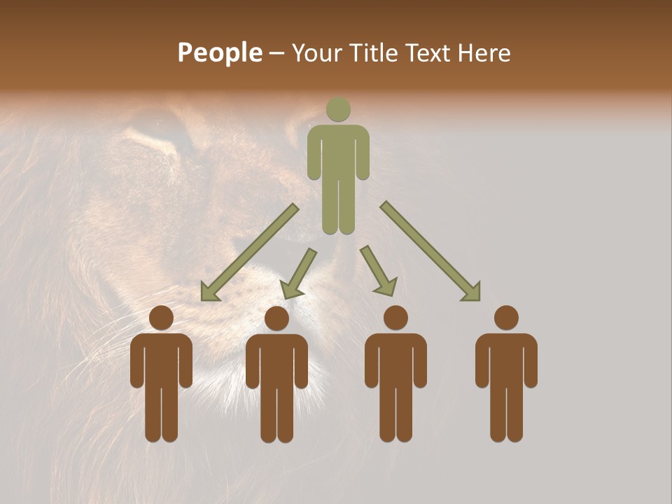 Cat Background King PowerPoint Template