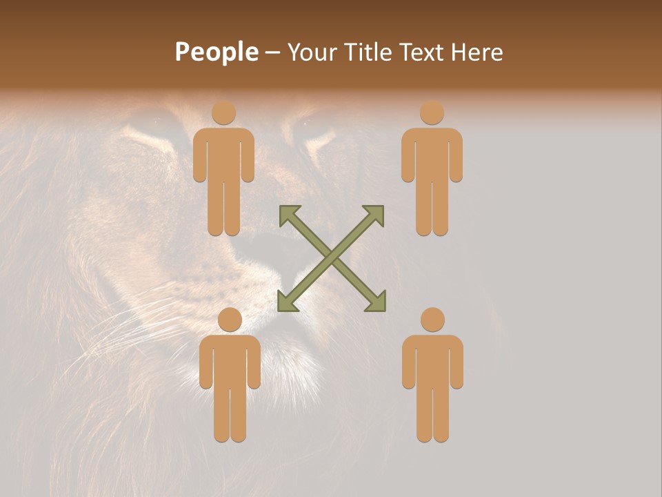 Cat Background King PowerPoint Template