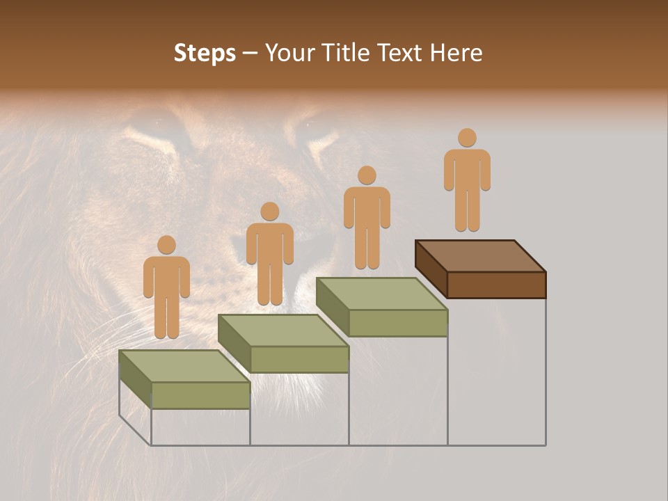 Cat Background King PowerPoint Template