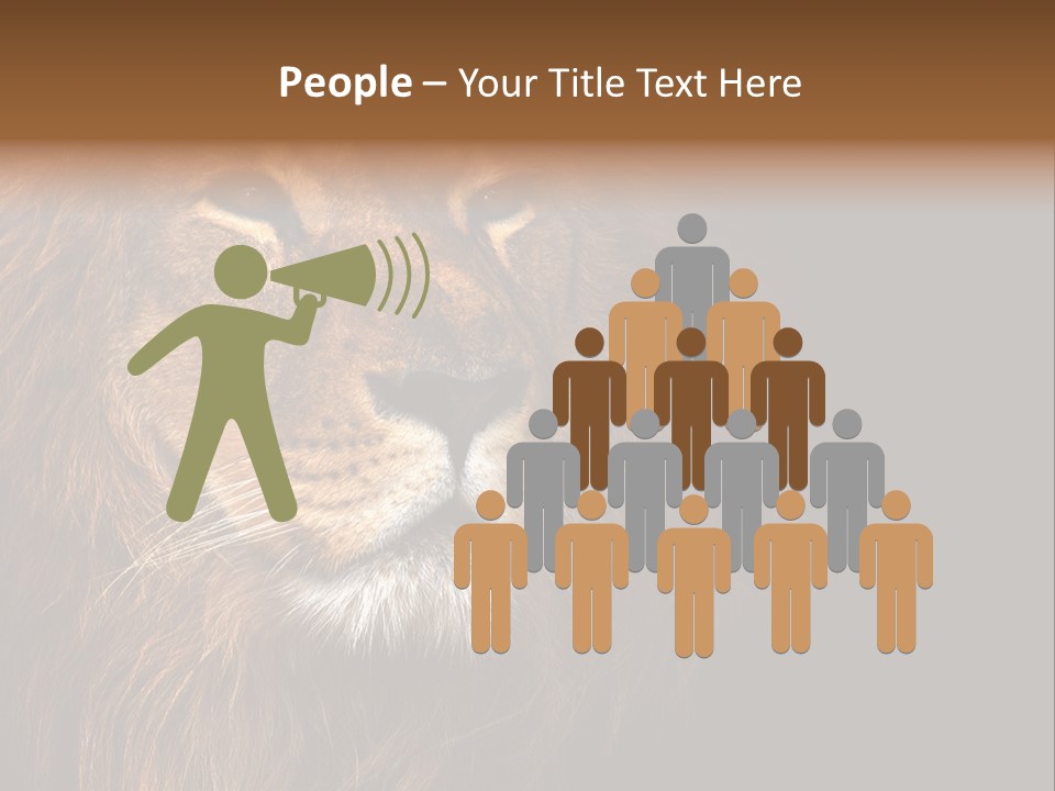 Cat Background King PowerPoint Template