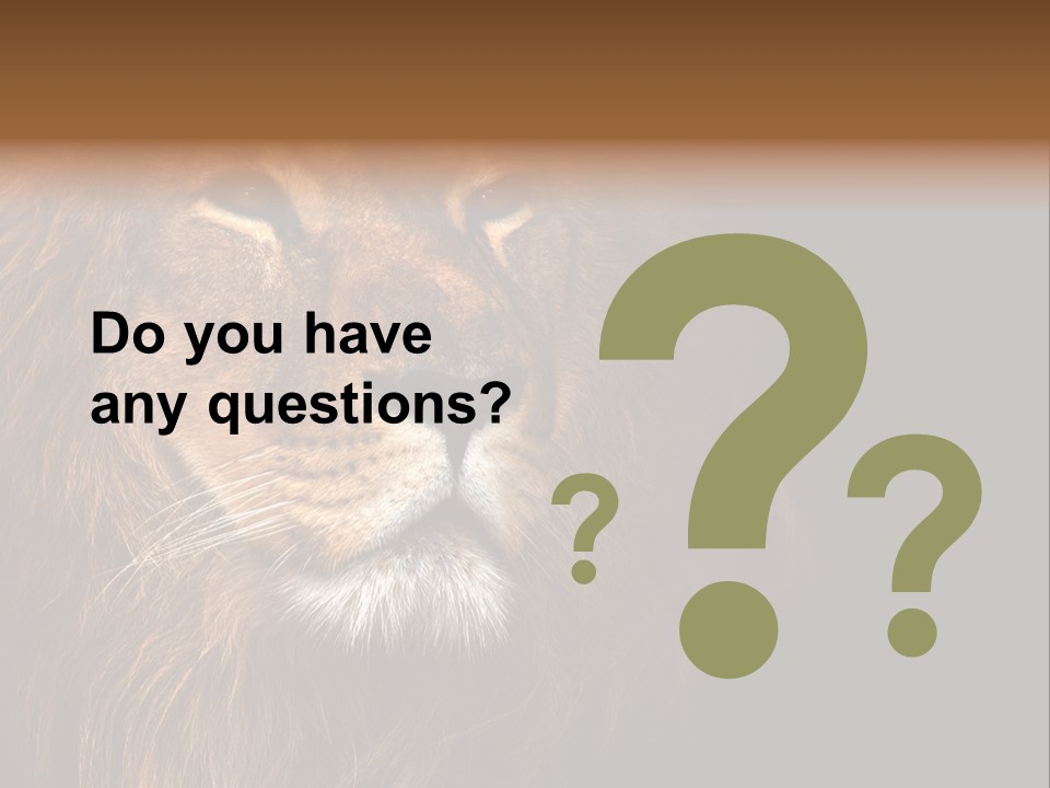 Cat Background King PowerPoint Template