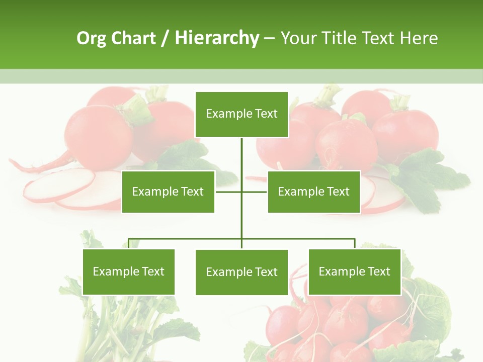Nutrition Fruit Radish PowerPoint Template