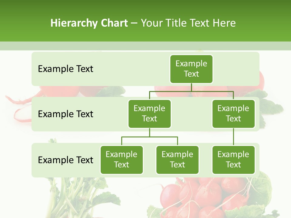 Nutrition Fruit Radish PowerPoint Template