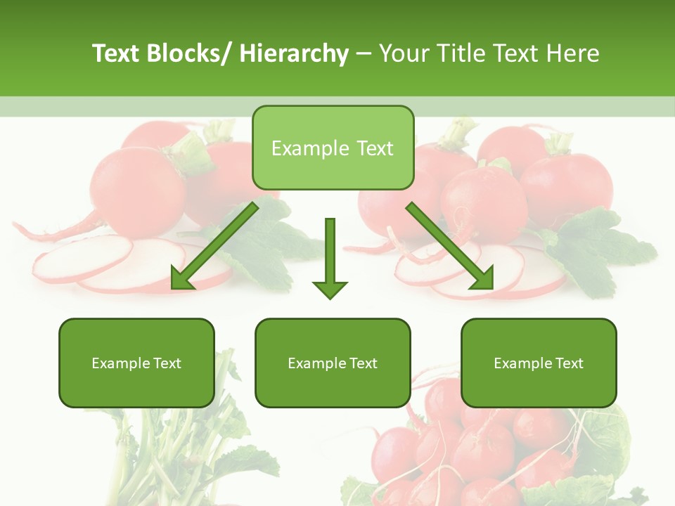 Nutrition Fruit Radish PowerPoint Template