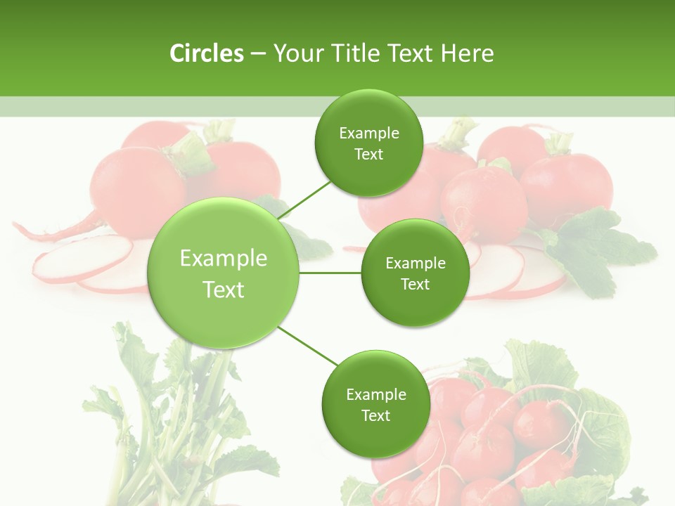 Nutrition Fruit Radish PowerPoint Template