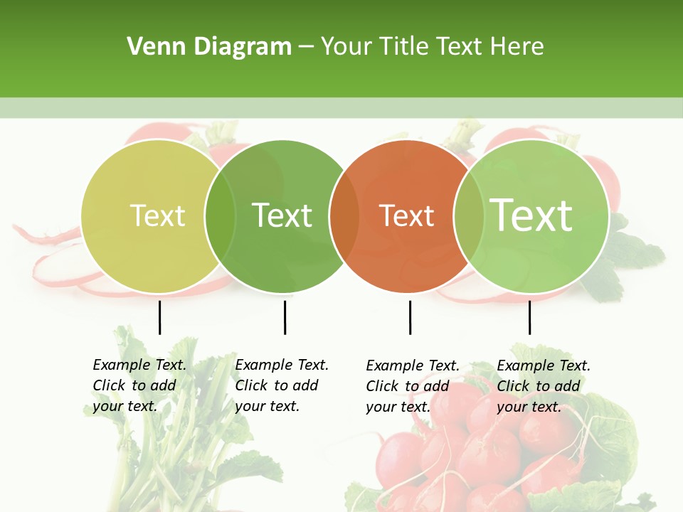 Nutrition Fruit Radish PowerPoint Template
