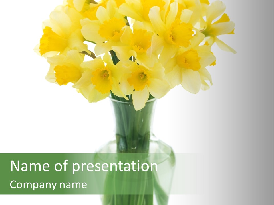 Vase Morning Aroma PowerPoint Template