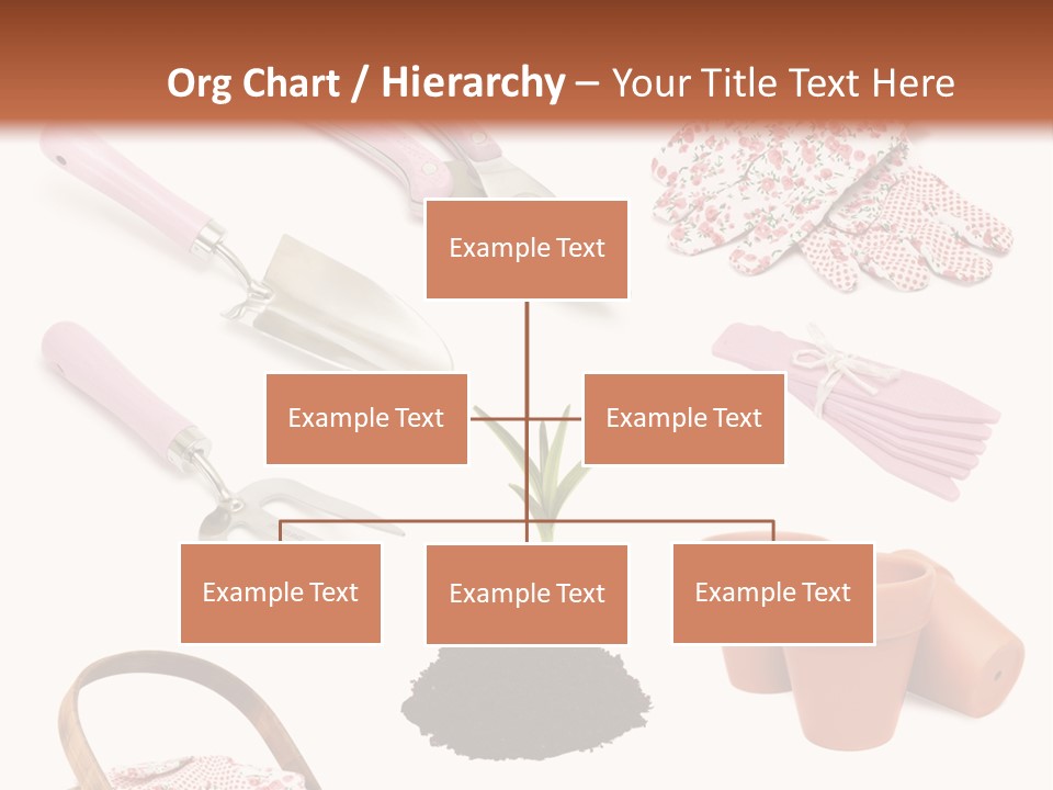 Trug Sticks Ladies PowerPoint Template